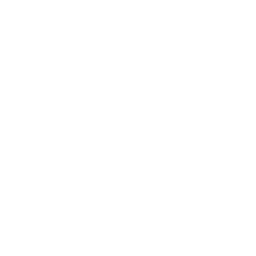 Creazione di robot umanoidi